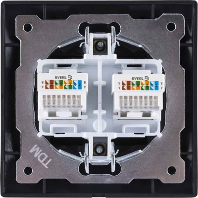 Розетка TDM Лама SQ1815-0675