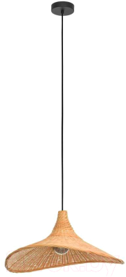 Потолочный светильник Eglo Haxey 43869 - фото