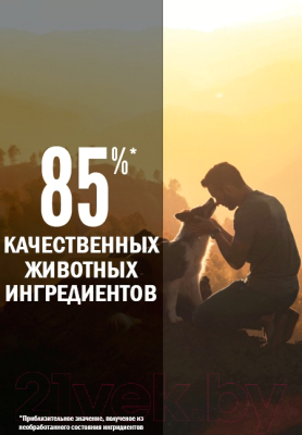 Сухой корм для собак Orijen Dog Tundra