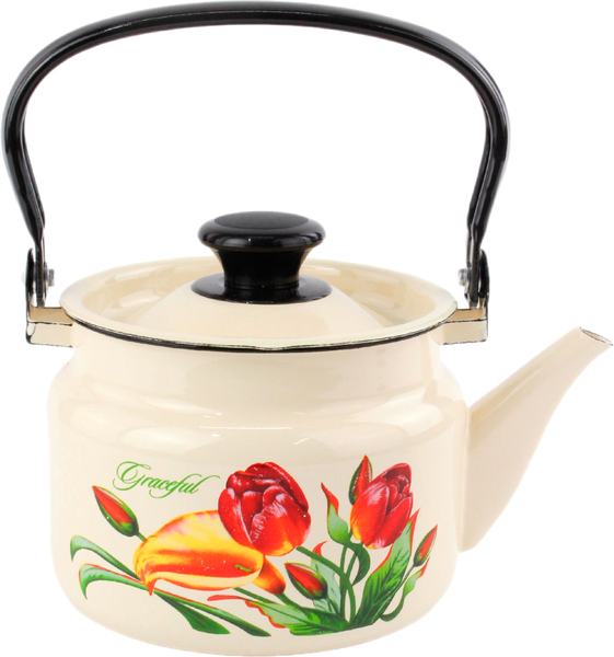 Чайник КМЗ 42704-082/6-У4 с рисунком - фото