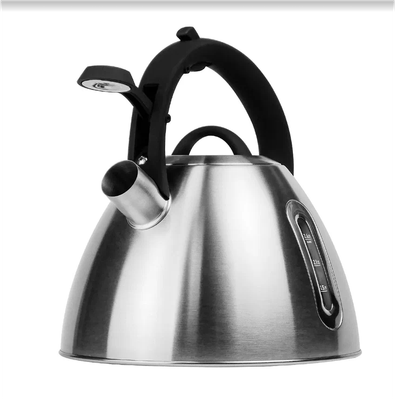 Чайник со свистком Lara LR00-89