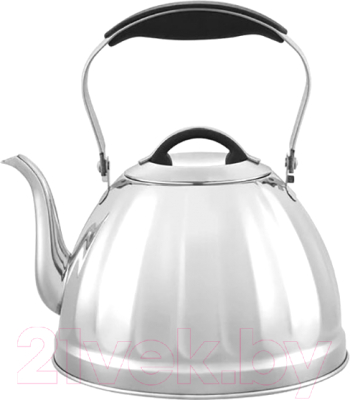 Чайник Lara LR00-95 - фото