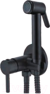 Гигиенический душ Ledeme L5398B-2 - фото