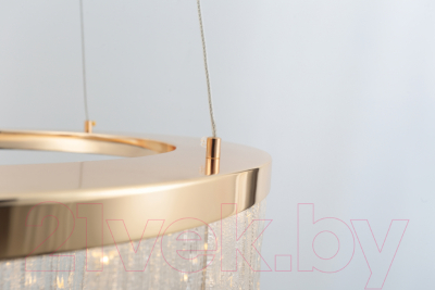 Потолочный светильник Rivoli Diane 6133-101 / Б0061976