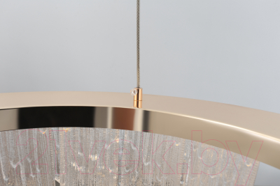 Потолочный светильник Rivoli Diane 6133-101 / Б0061976