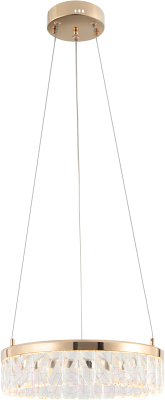 Потолочный светильник Rivoli Erika 6131-101 / Б0061963 - фото