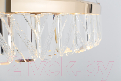 Потолочный светильник Rivoli Erika 6131-104 / Б0061968