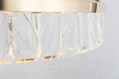 Потолочный светильник Rivoli Erika 6131-104 / Б0061968