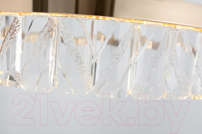 Потолочный светильник Rivoli Erika 6131-104 / Б0061968