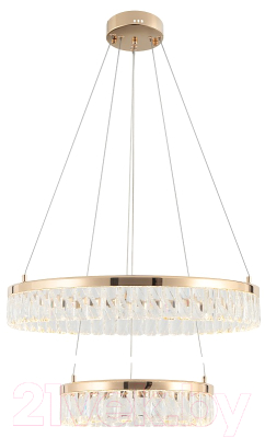 Потолочный светильник Rivoli Erika 6131-105 / Б0061969 - фото