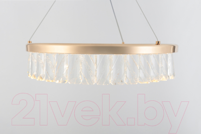 Потолочный светильник Rivoli Erika 6131-105 / Б0061969