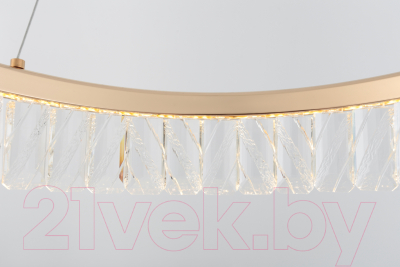 Потолочный светильник Rivoli Erika 6131-105 / Б0061969