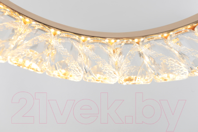 Потолочный светильник Rivoli Erika 6131-105 / Б0061969