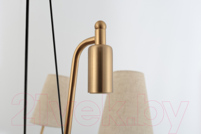 Люстра Rivoli Michele 4111-306 / Б0061952