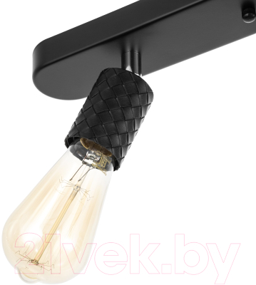 Спот BayerLux Скин / 9919705