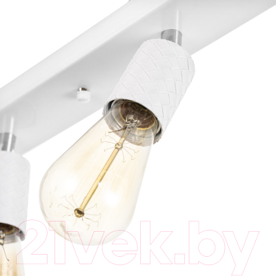 Спот BayerLux Скин / 9919706