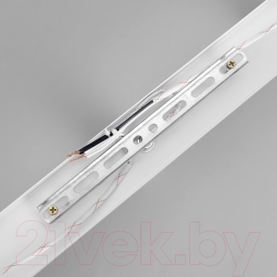 Спот BayerLux Скин / 9919706