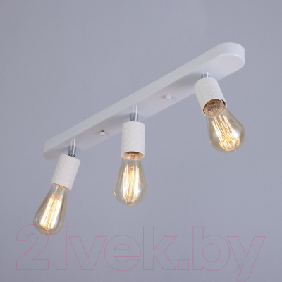 Спот BayerLux Скин / 9919706