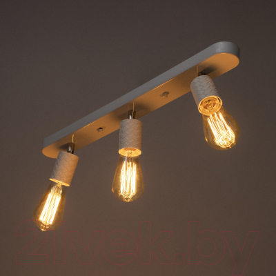 Спот BayerLux Скин / 9919706