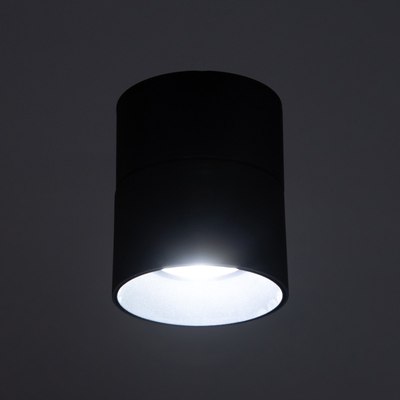 Спот BayerLux Орео / 9901320