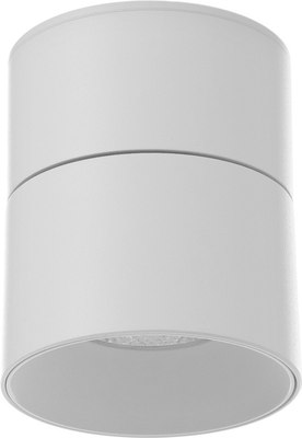 Спот BayerLux Орео / 9901319 - фото