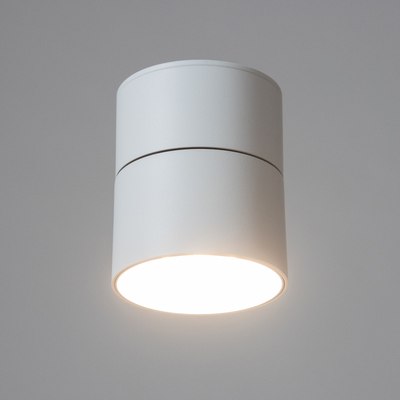 Спот BayerLux Орео / 9901319