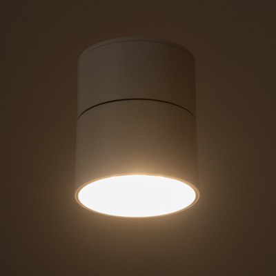 Спот BayerLux Орео / 9901319