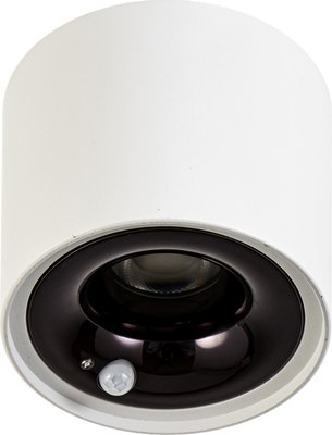 Точечный светильник BayerLux Аура / 9874808 - фото