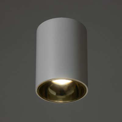 Точечный светильник BayerLux Роллфи / 9901324