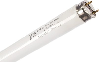 Лампа Osram L 36W/765 G13 6500K - фото