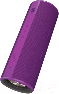 Портативная акустика SoundMax SM-PS5024B