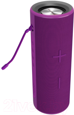 Портативная акустика SoundMax SM-PS5024B