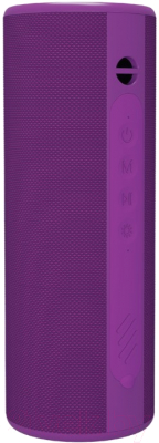 Портативная акустика SoundMax SM-PS5024B