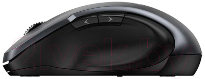 Мышь Genius Ergo 8200S