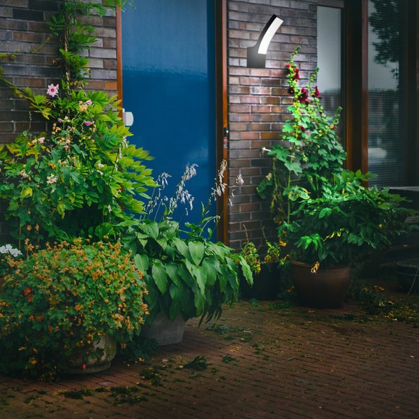 Бра уличное ESCADA 30002W/02LED