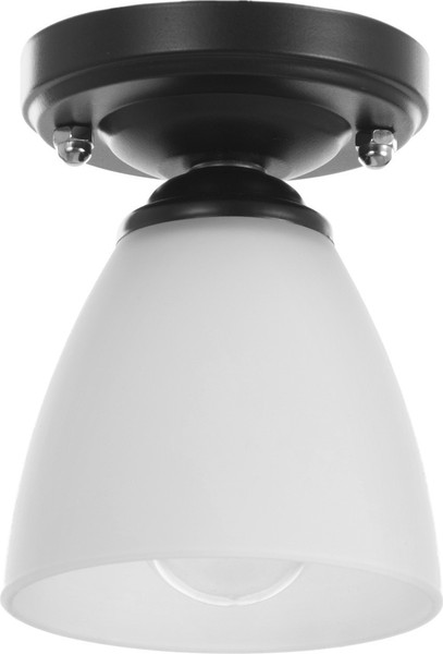 Потолочный светильник BayerLux 91312/1 / 4901116 - фото