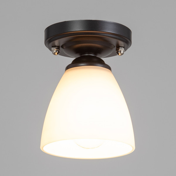 Потолочный светильник BayerLux 91312/1 / 4901116