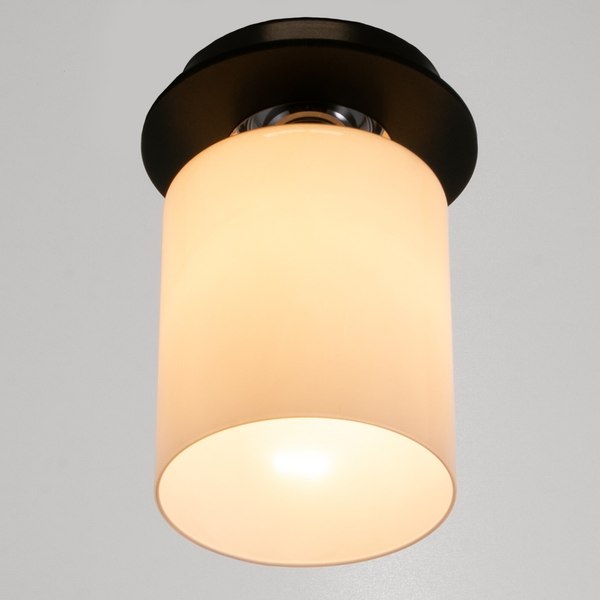 Потолочный светильник BayerLux 91310/1 / 4901114