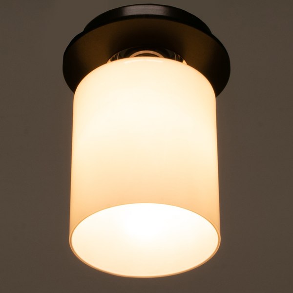 Потолочный светильник BayerLux 91310/1 / 4901114