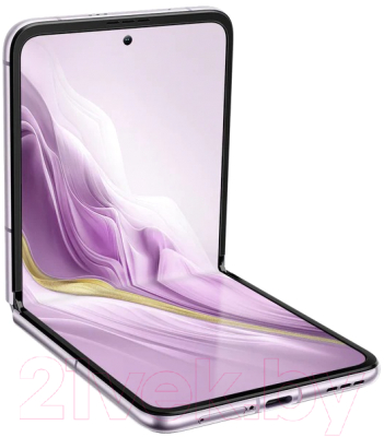 Смартфон Blackview Hero 10 (фиолетовый)