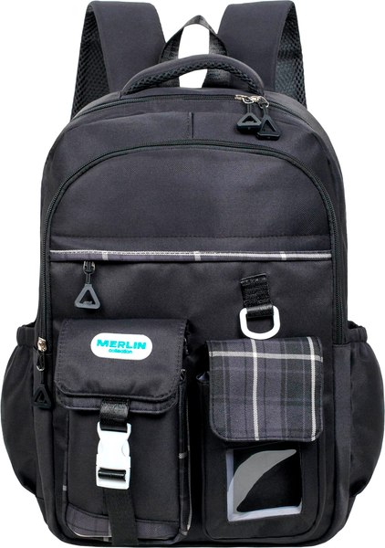 Школьный рюкзак Merlin M3910 - фото
