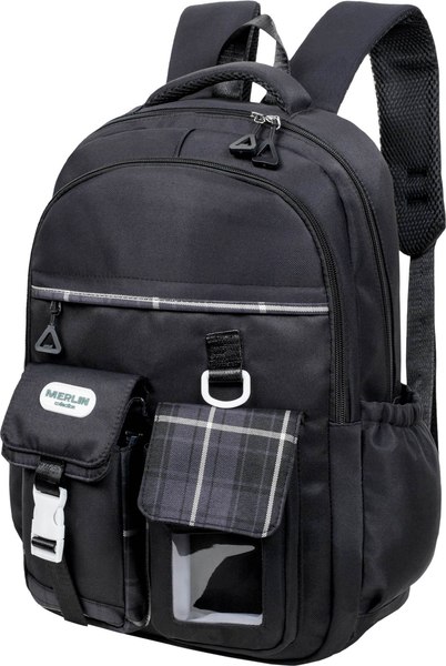 Школьный рюкзак Merlin M3910