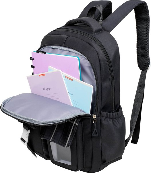 Школьный рюкзак Merlin M3910