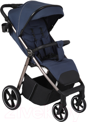 Детская прогулочная коляска Pituso Emma / ET6 - фото