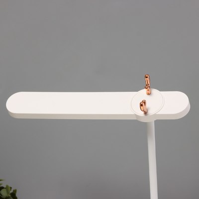 Настольная лампа Risalux Ренди 10189407