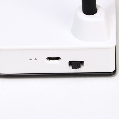 Настольная лампа Risalux Парасоль 10063428