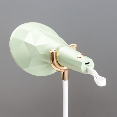 Настольная лампа Risalux Делсер 9352531