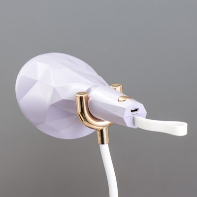 Настольная лампа Risalux Делсер 9352529