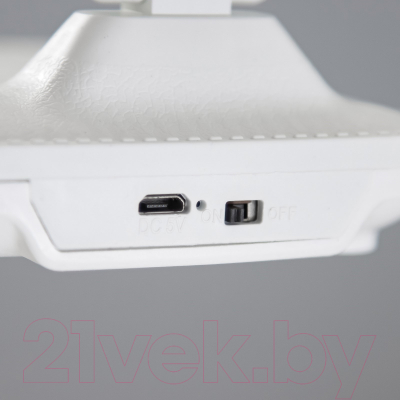 Настольная лампа Risalux Раздвижная 7800306