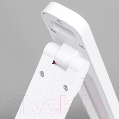 Настольная лампа Risalux 16888/1 / 7586188